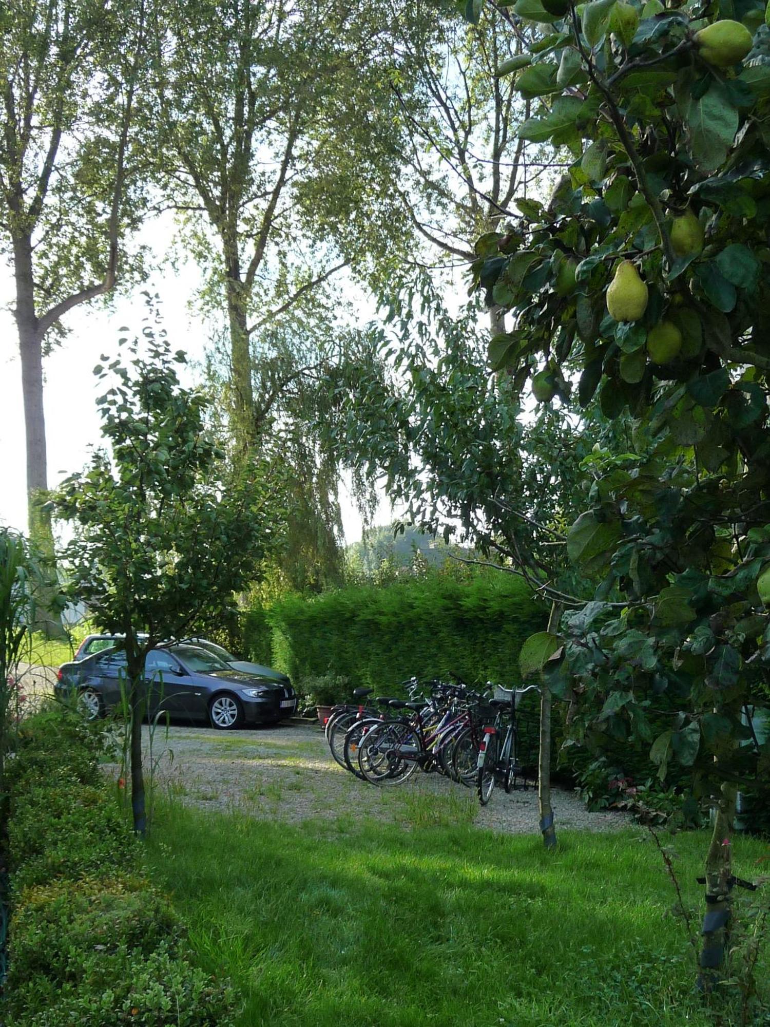 Le Coquin 3* Brügge